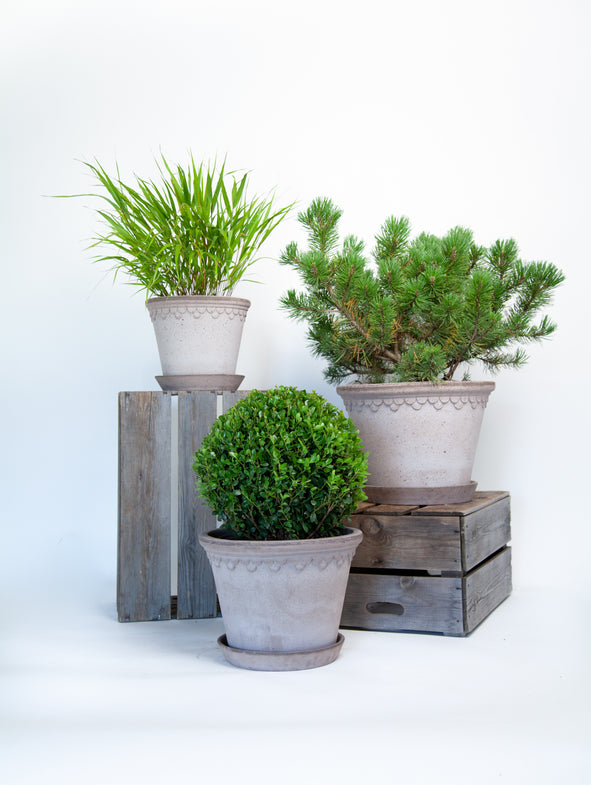 Soto Green - Partial - 3/Set